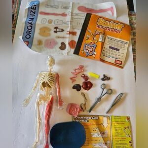 Human Body Educational Toy